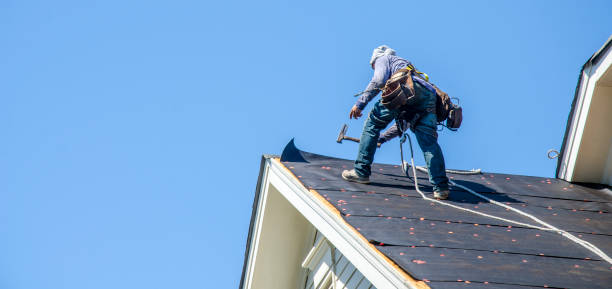 Best Storm Damage Roof Repair  in Lake Hiawatha, NJ